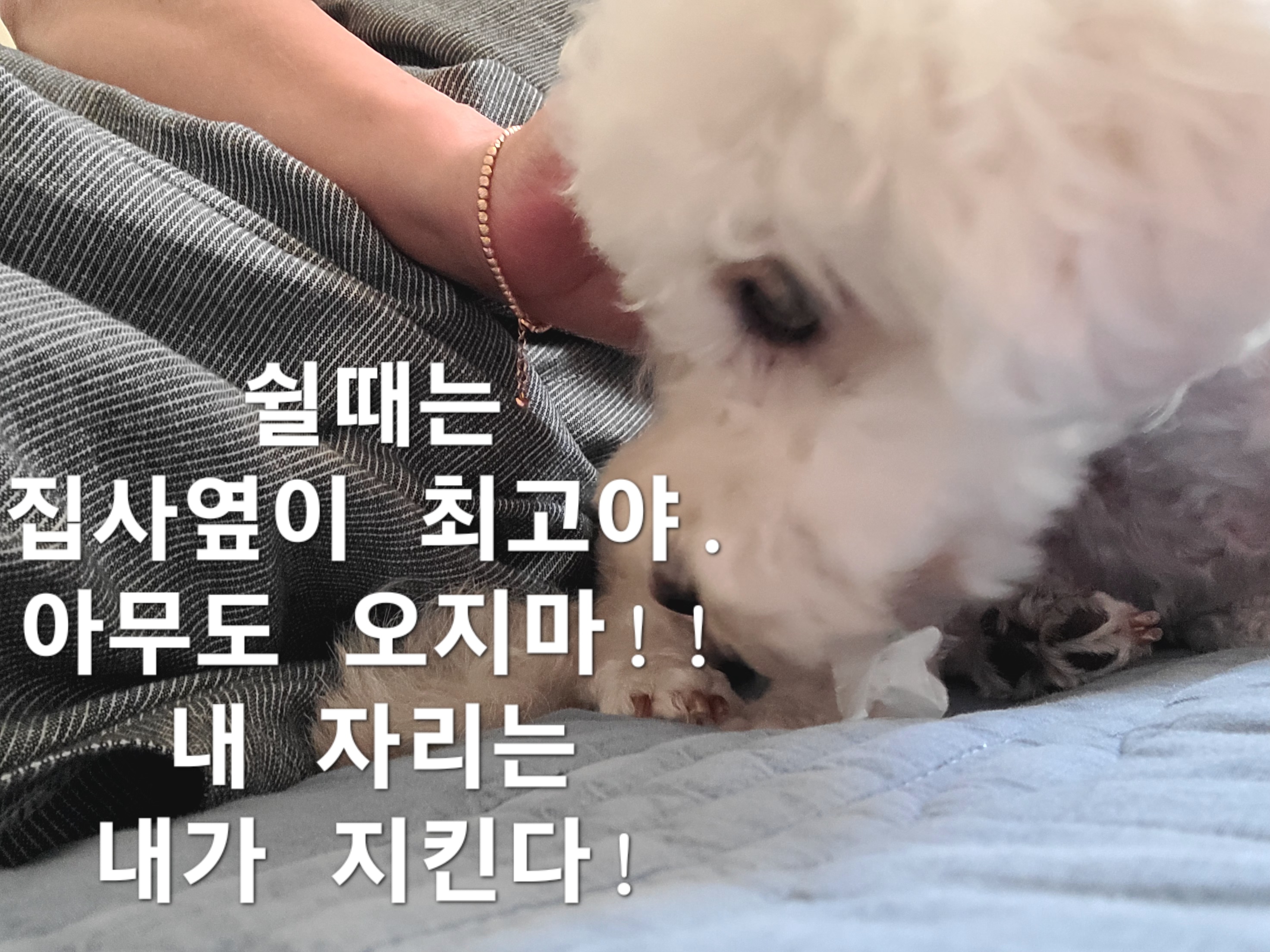 이미지 7