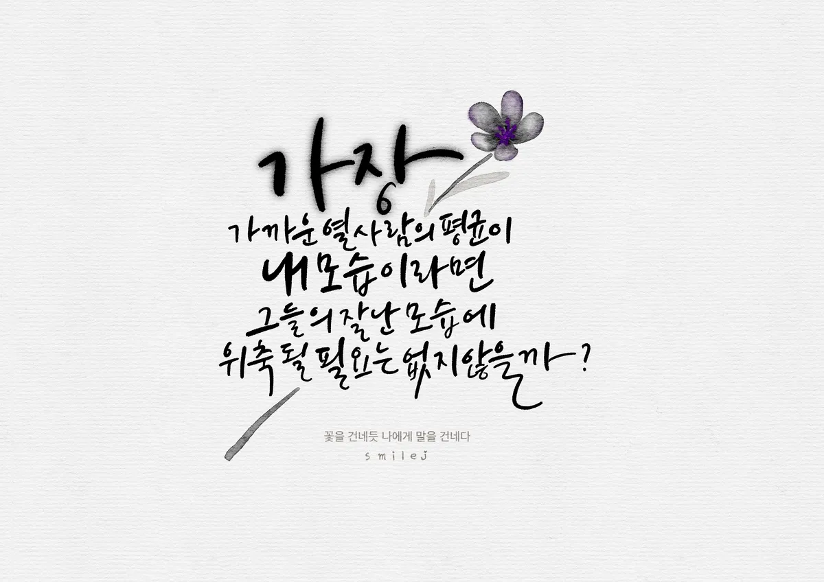 이미지 3