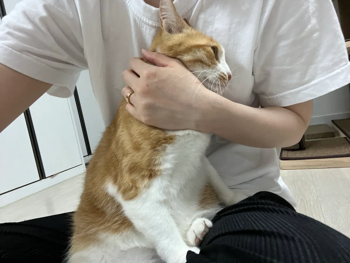 이미지 11