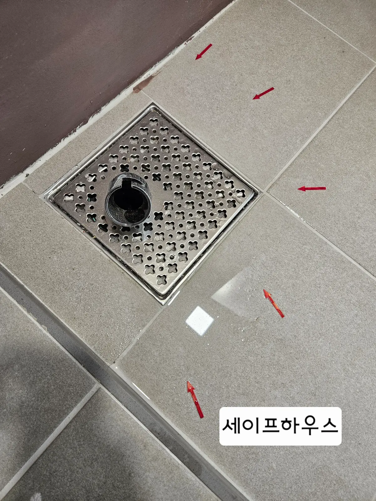 이미지 10