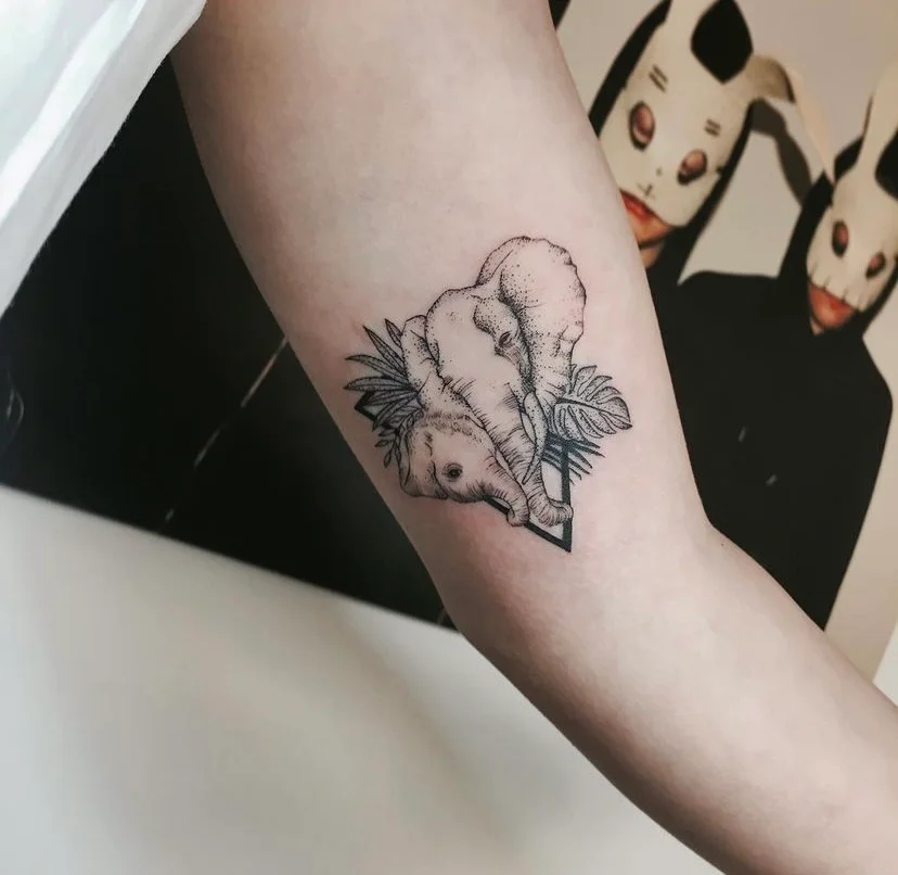 이미지 9
