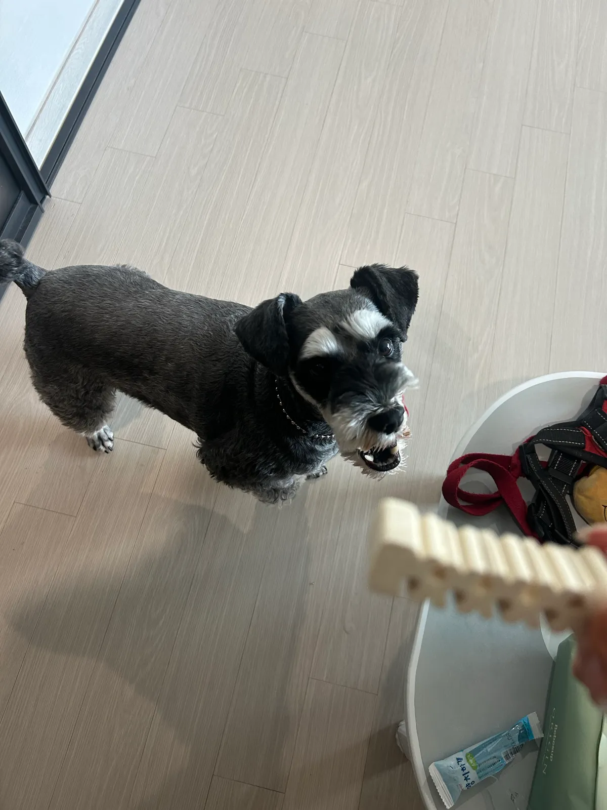 이미지 7