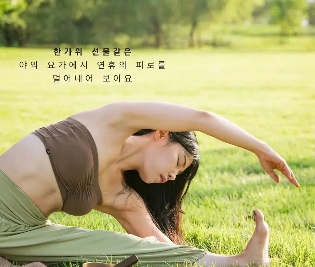 이미지 11