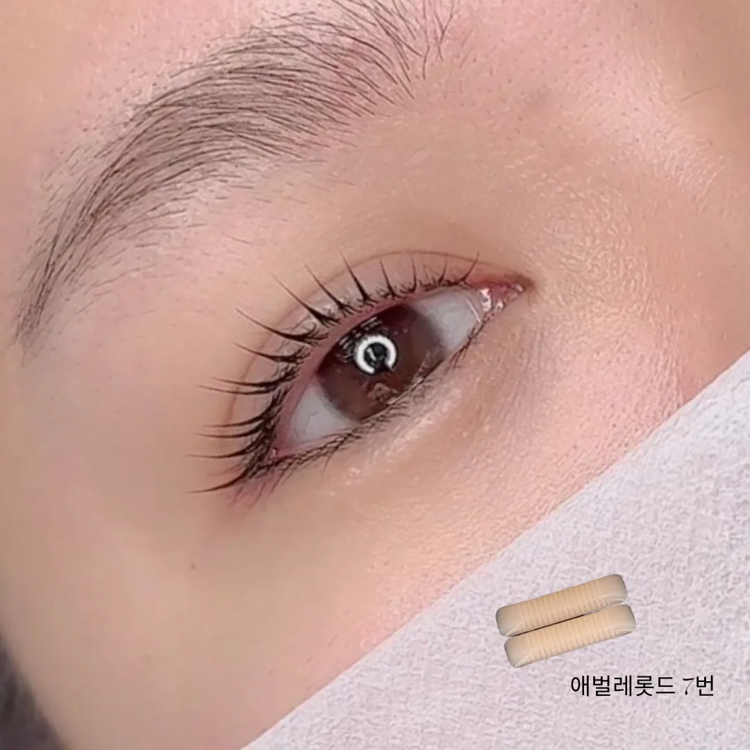 이미지 5