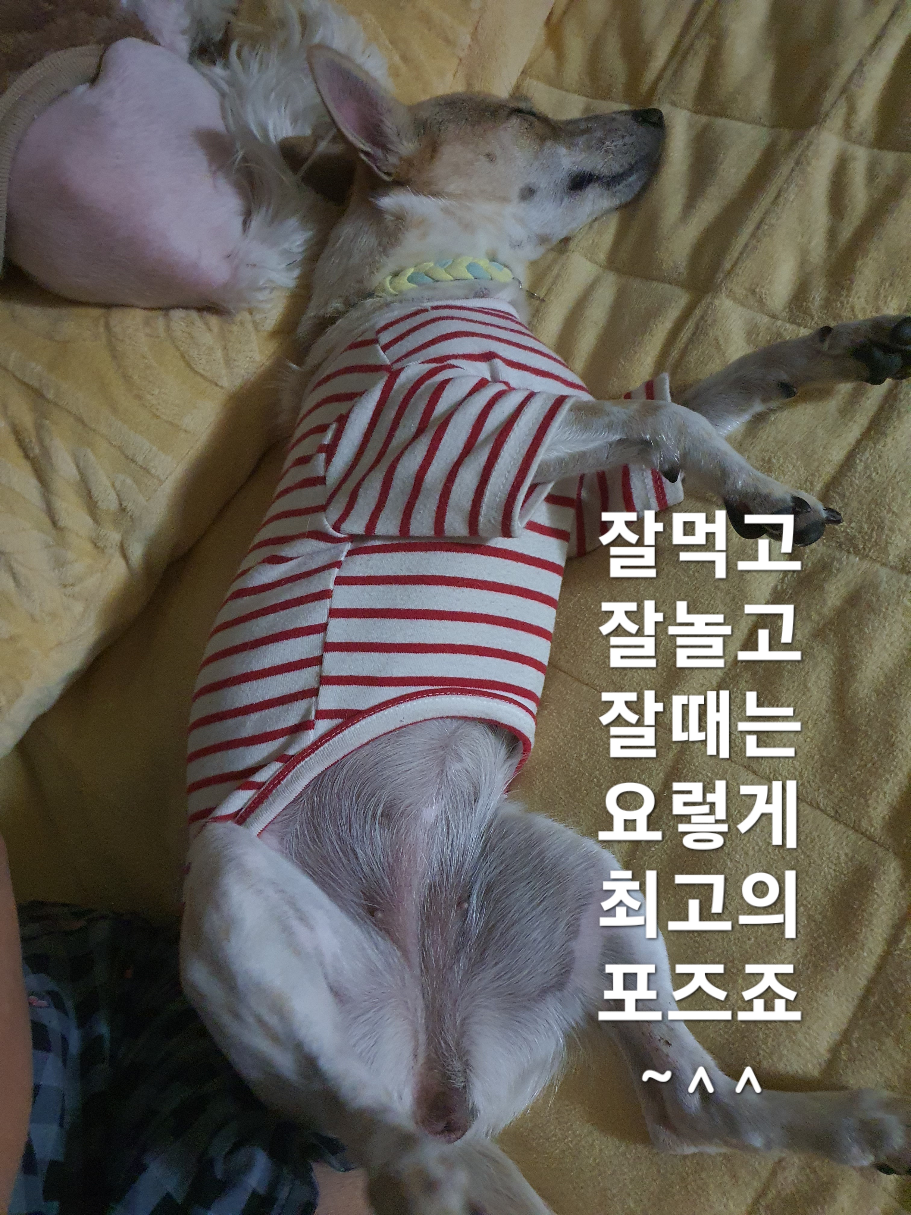이미지 9