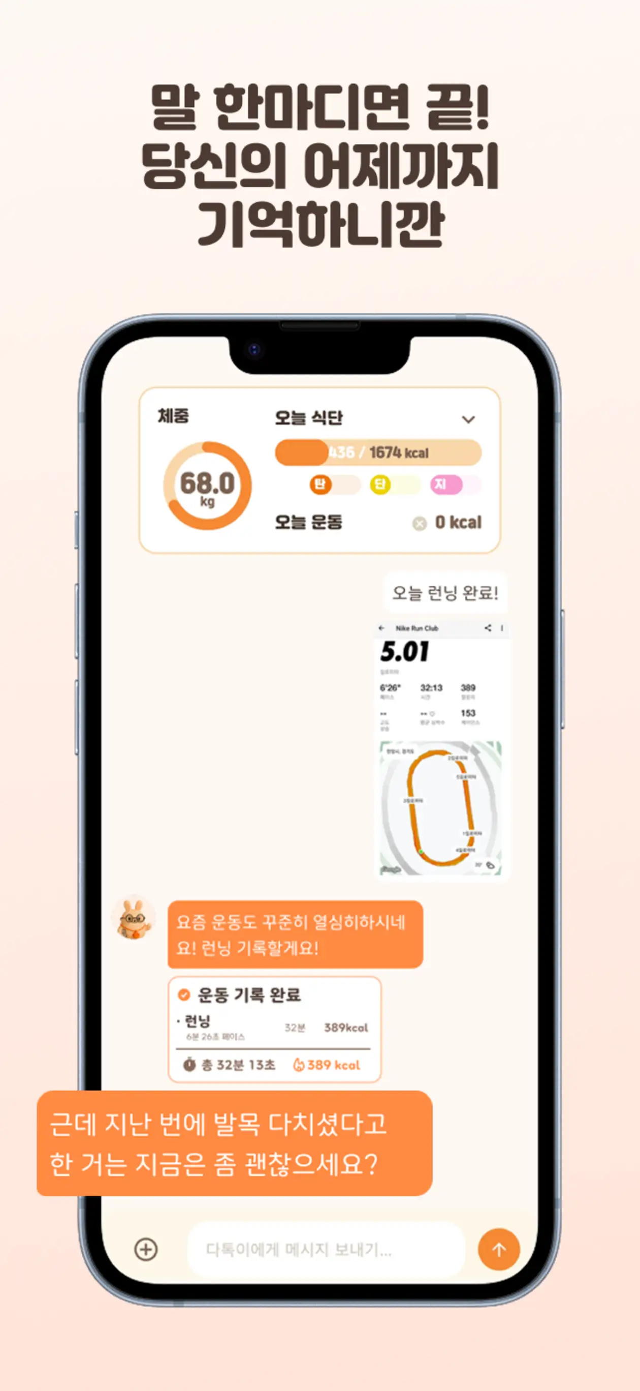 이미지 8