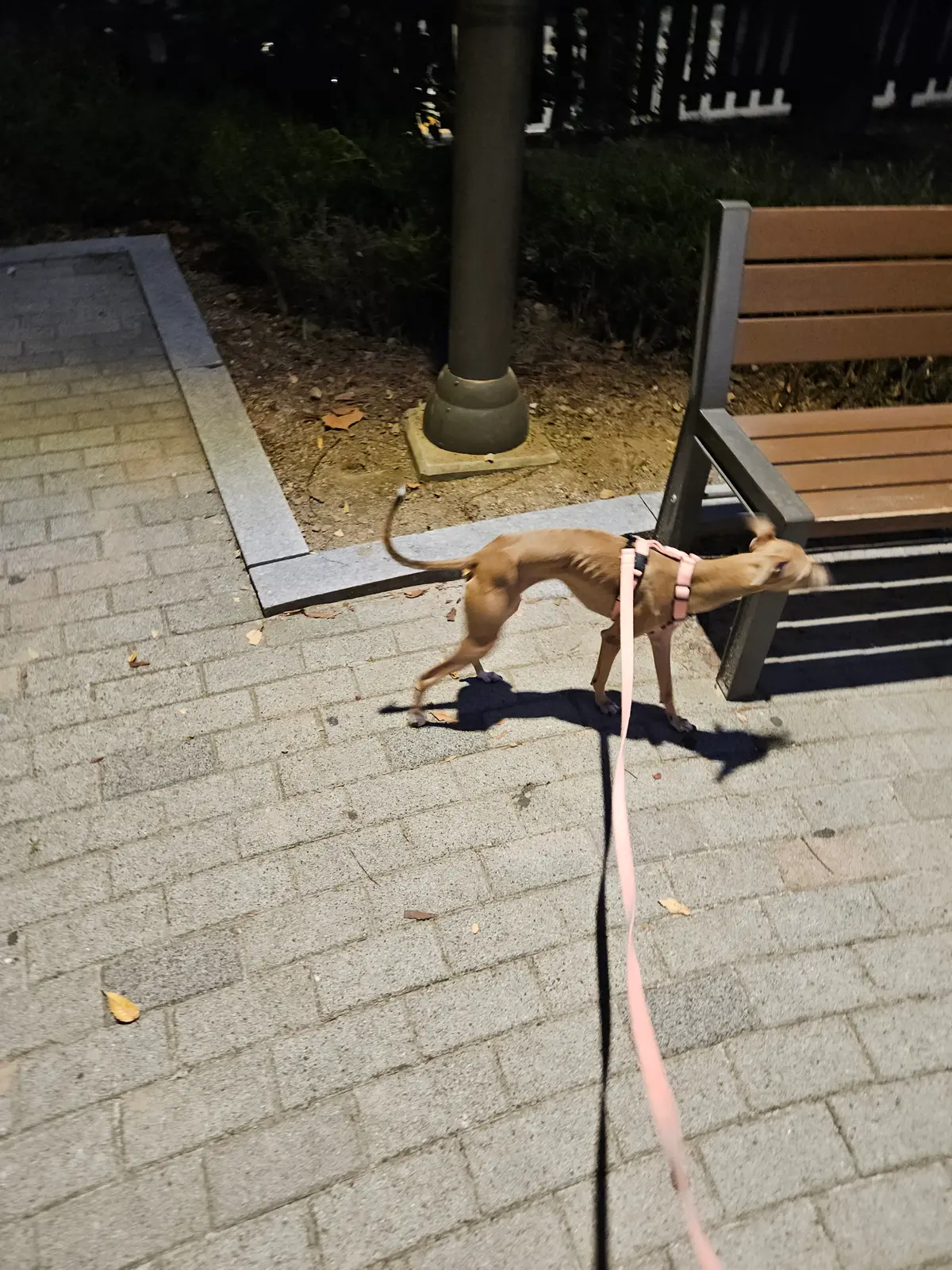 이미지 9