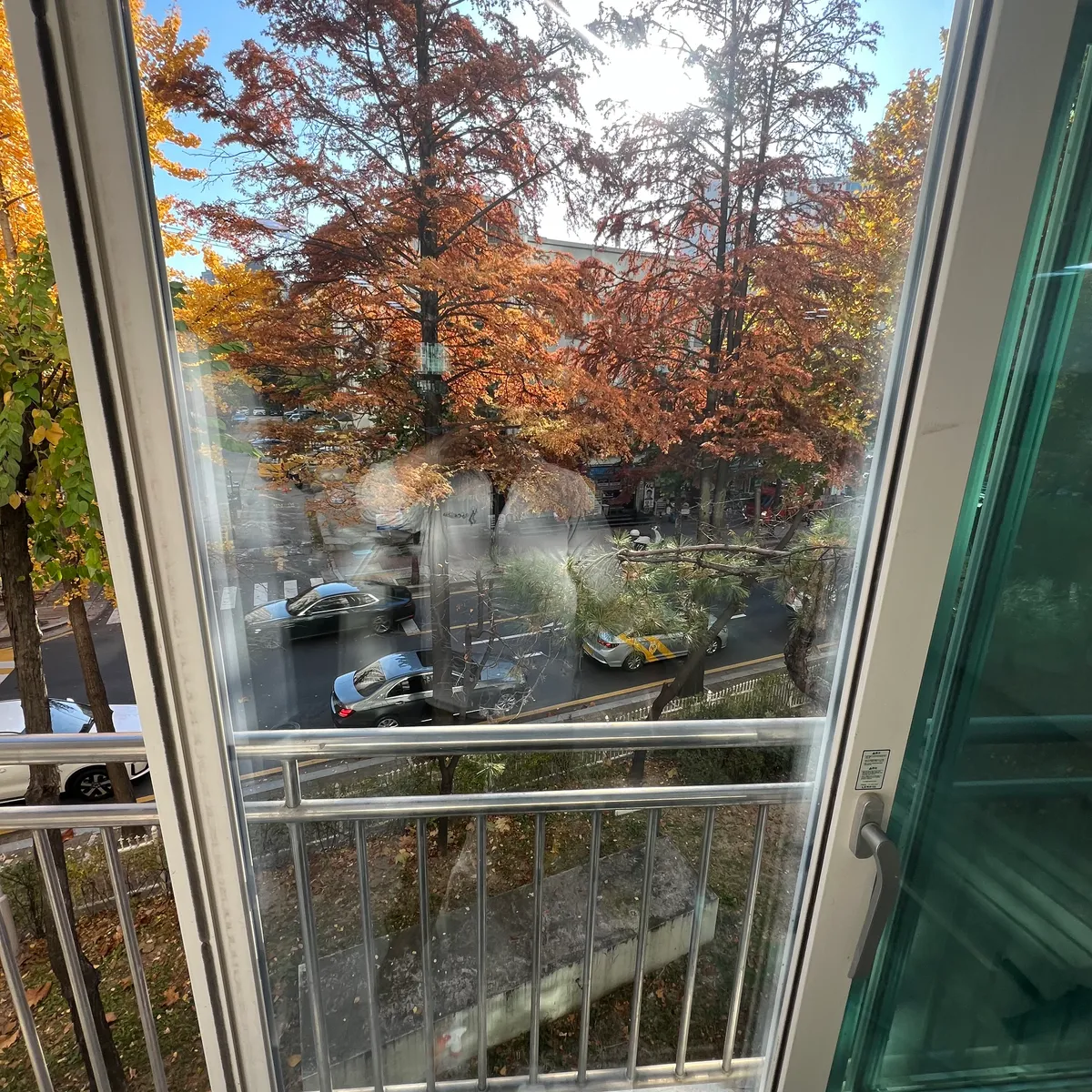 이미지 13