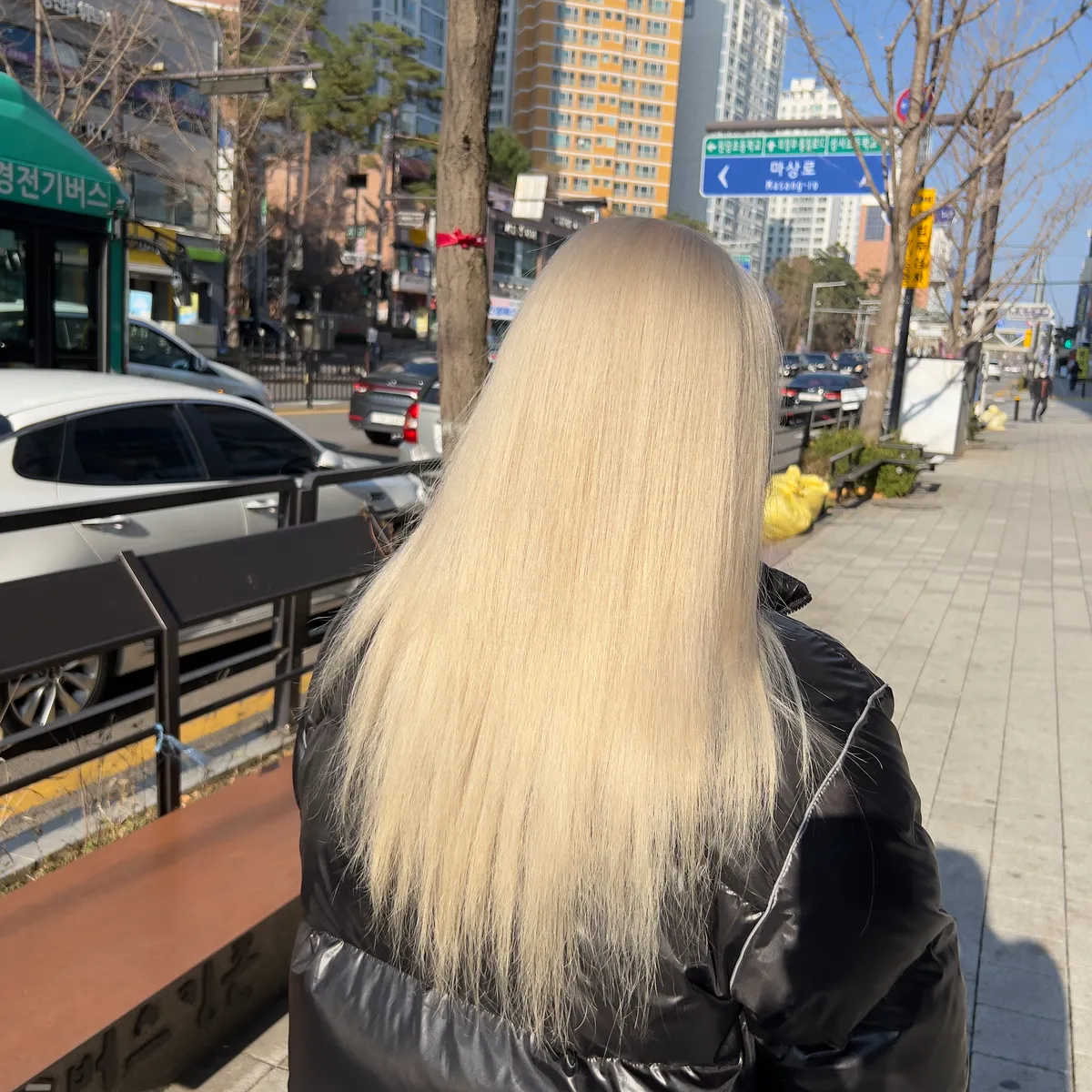 이미지 5