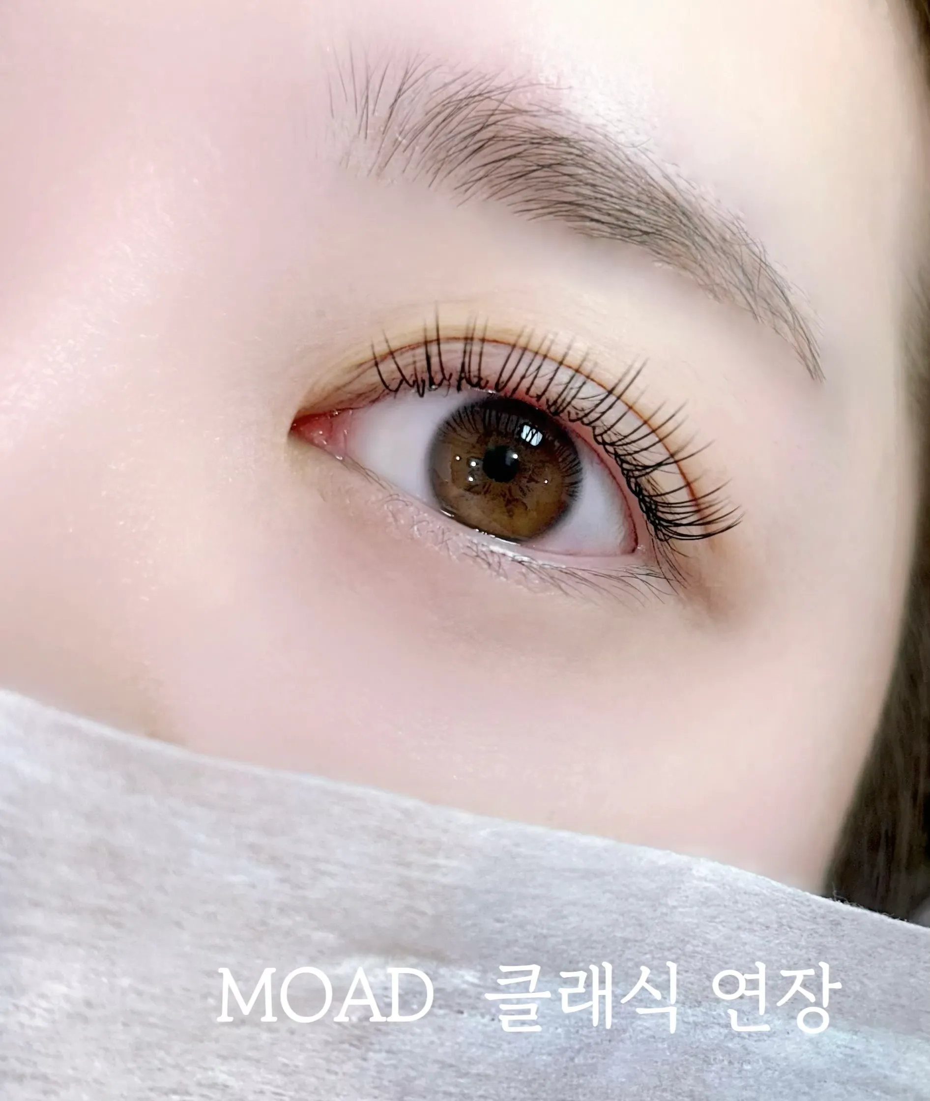 이미지 4