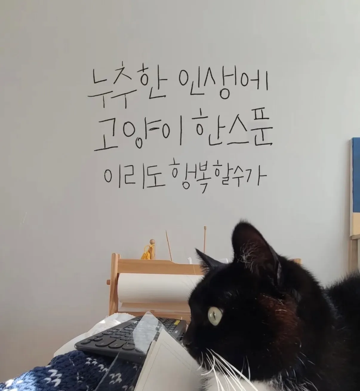 이미지 12