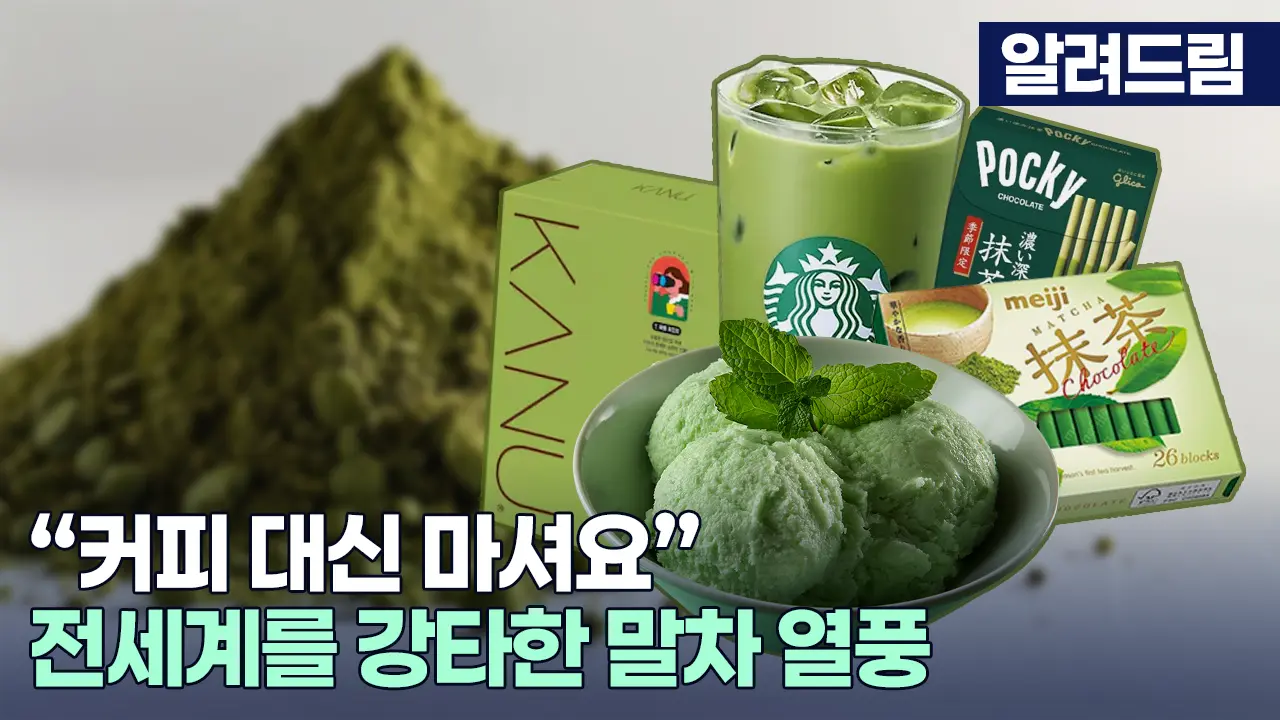 이미지 12