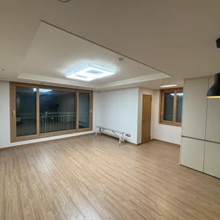 서울숲 리버 힐스테이트 전체벽면 디아망