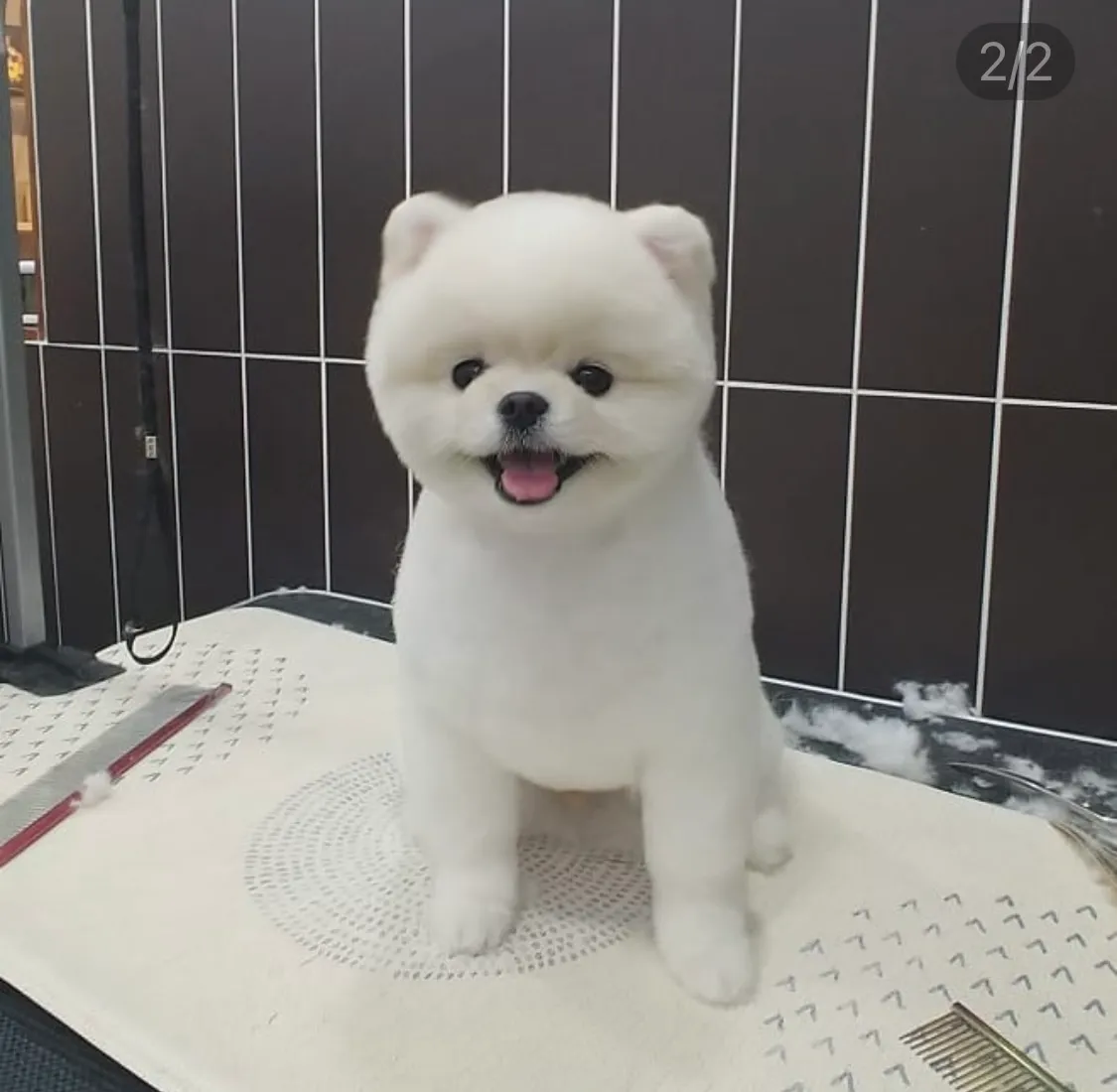 이미지 3