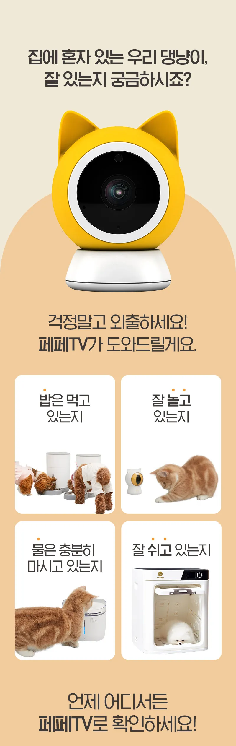 이미지 4