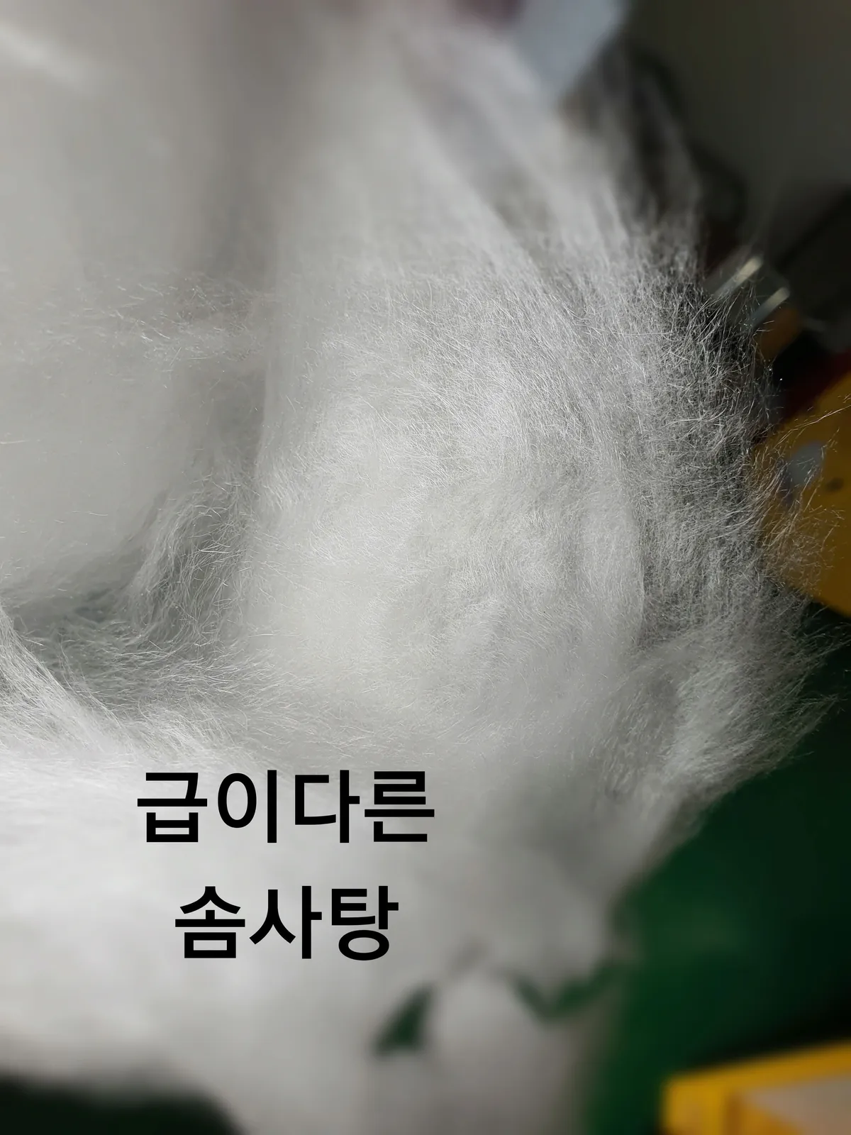 이미지 7