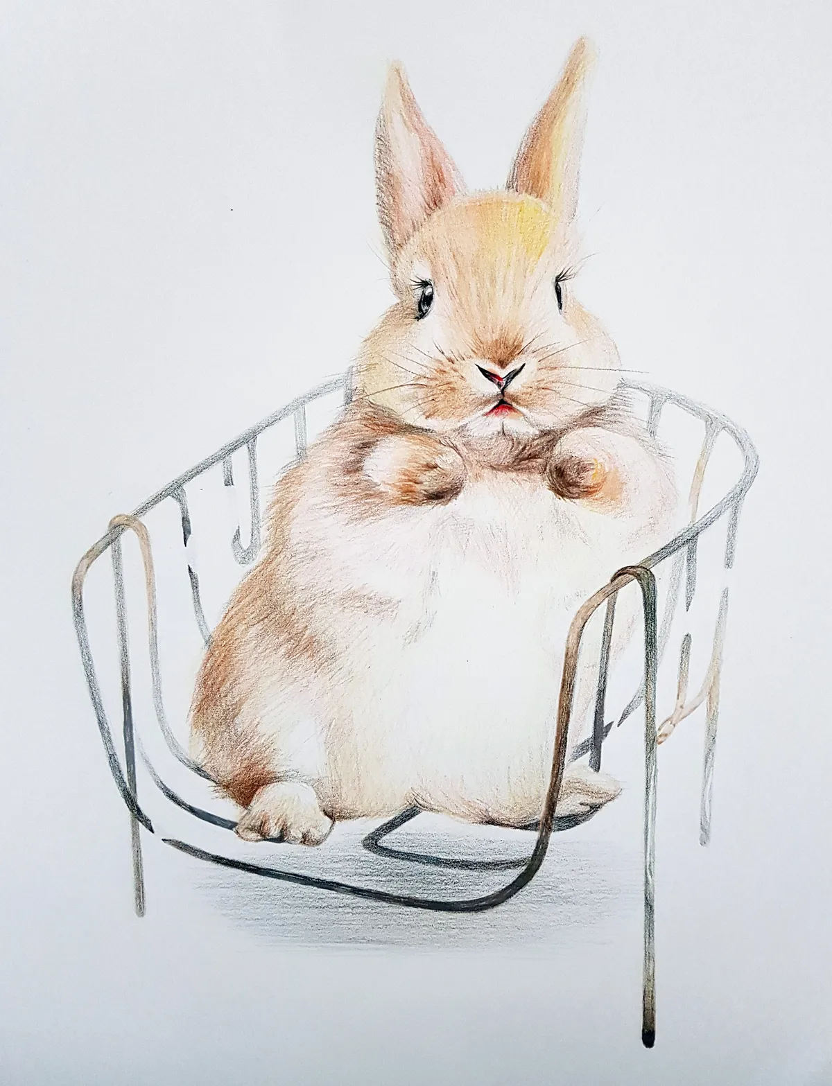이미지 14