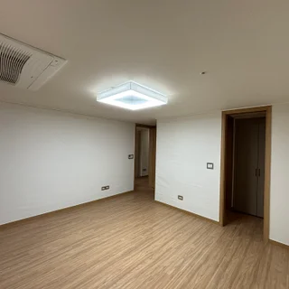 서울숲 리버 힐스테이트 전체벽면 디아망