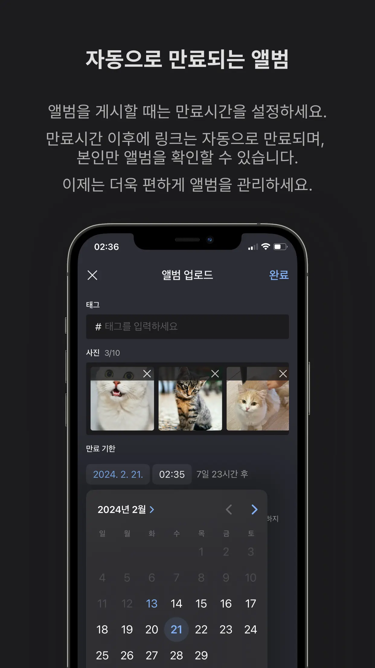 이미지 4