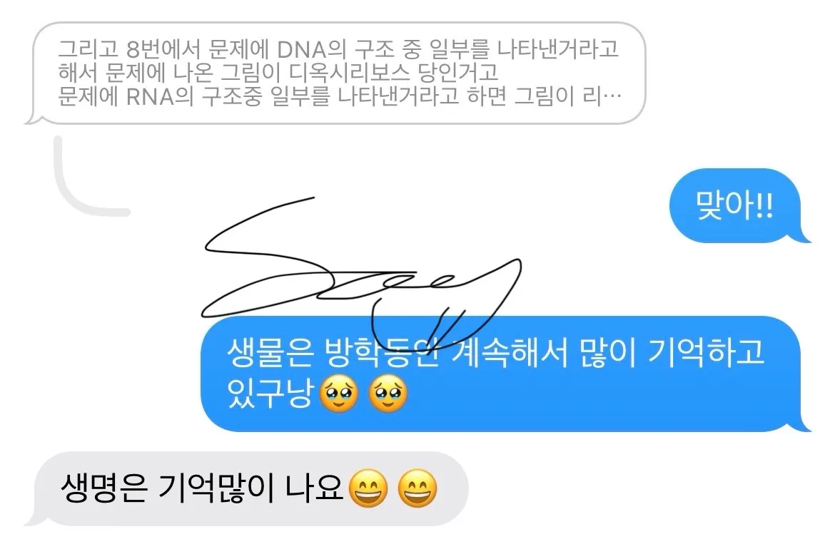 이미지 3