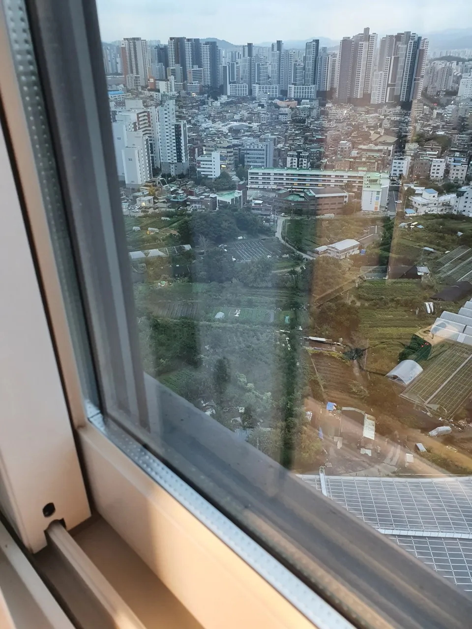 이미지 6