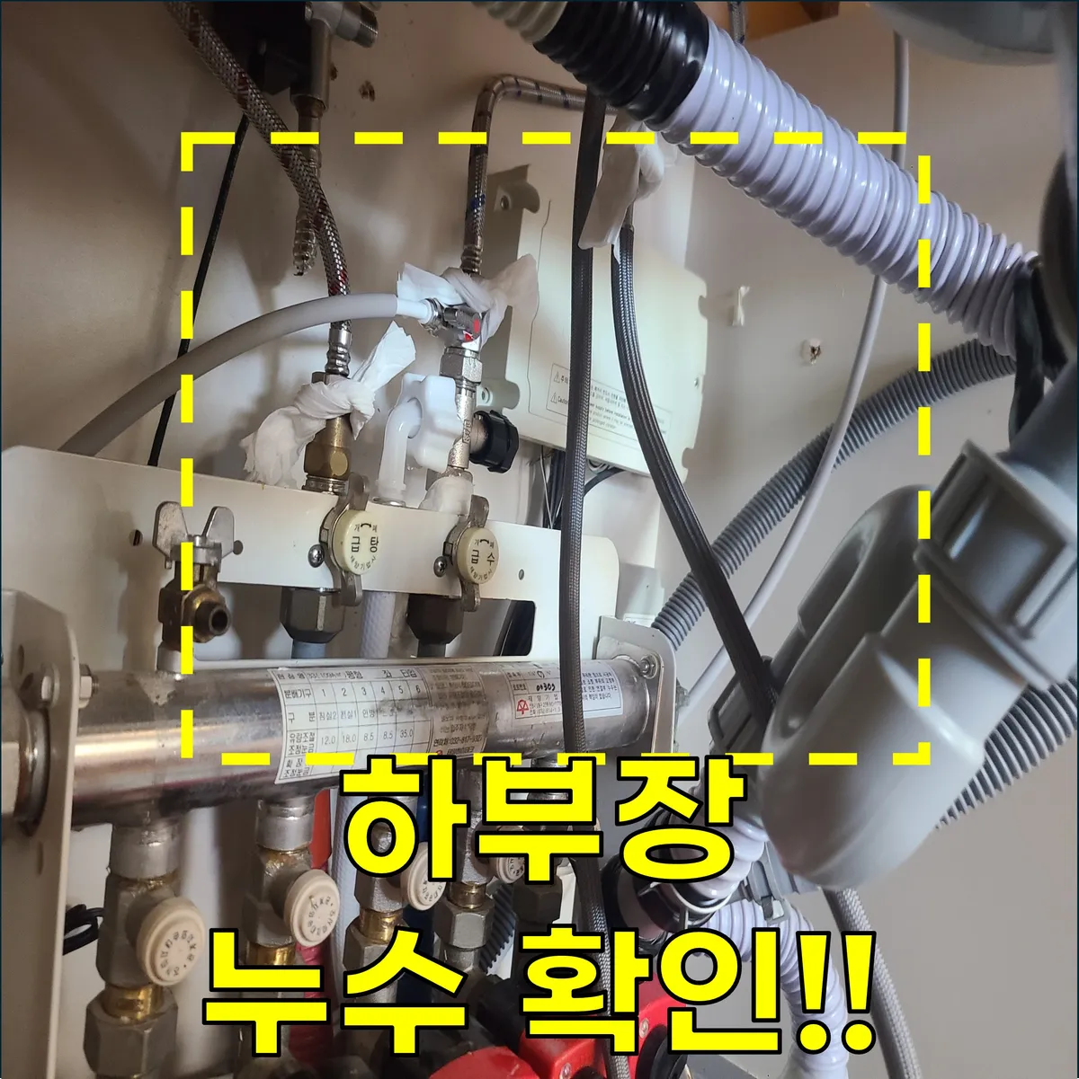 이미지 10