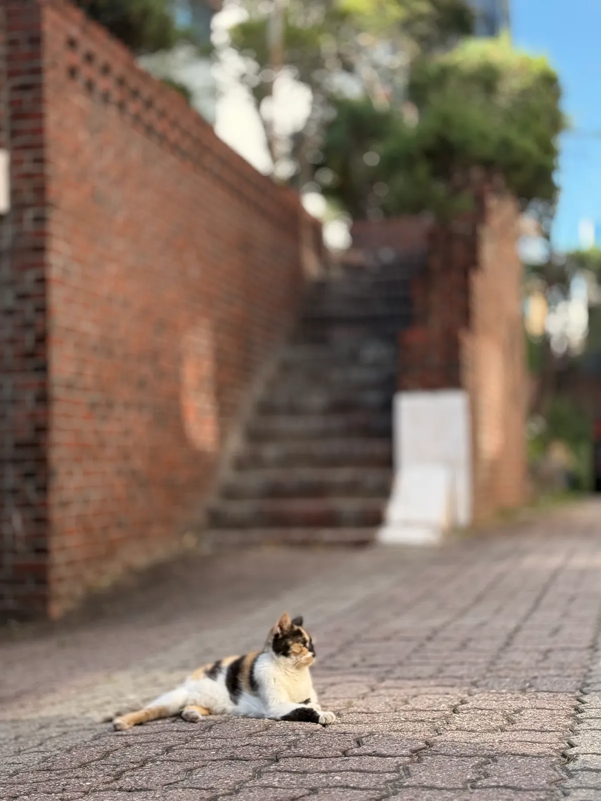 이미지 16