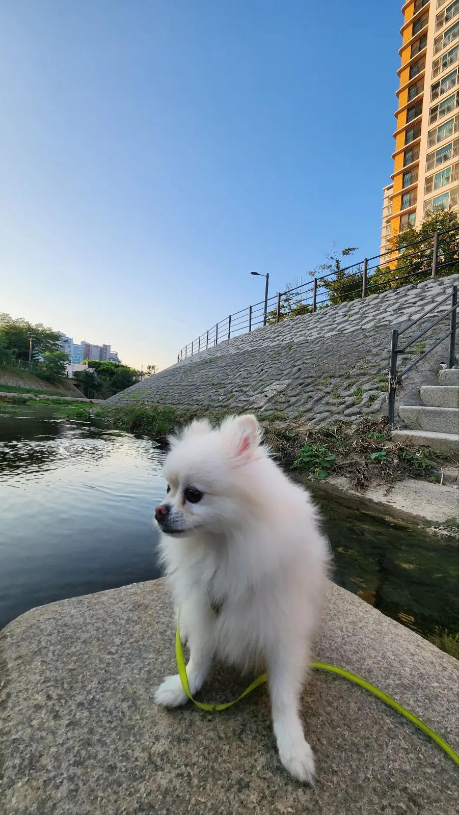 이미지 10