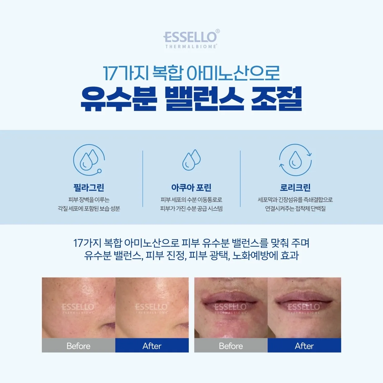 이미지 5