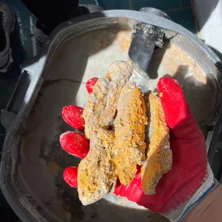 포항 청림동 하수구 막힘 작업현장🫡