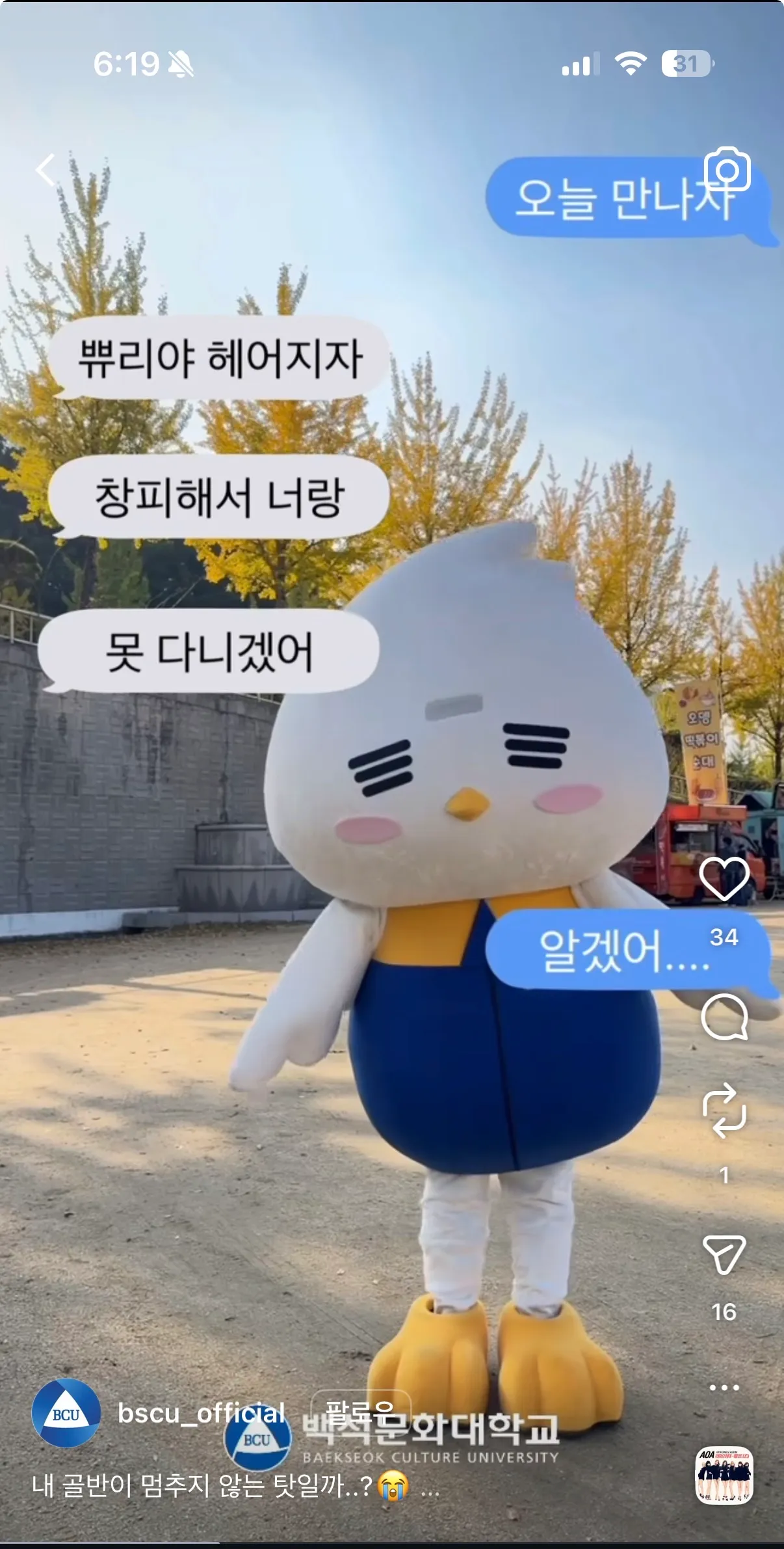 이미지 4