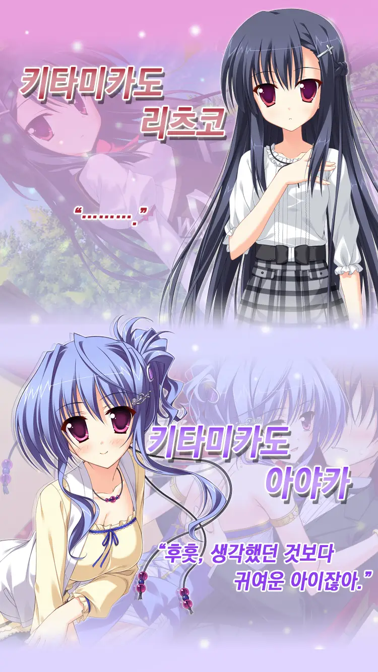 이미지 5
