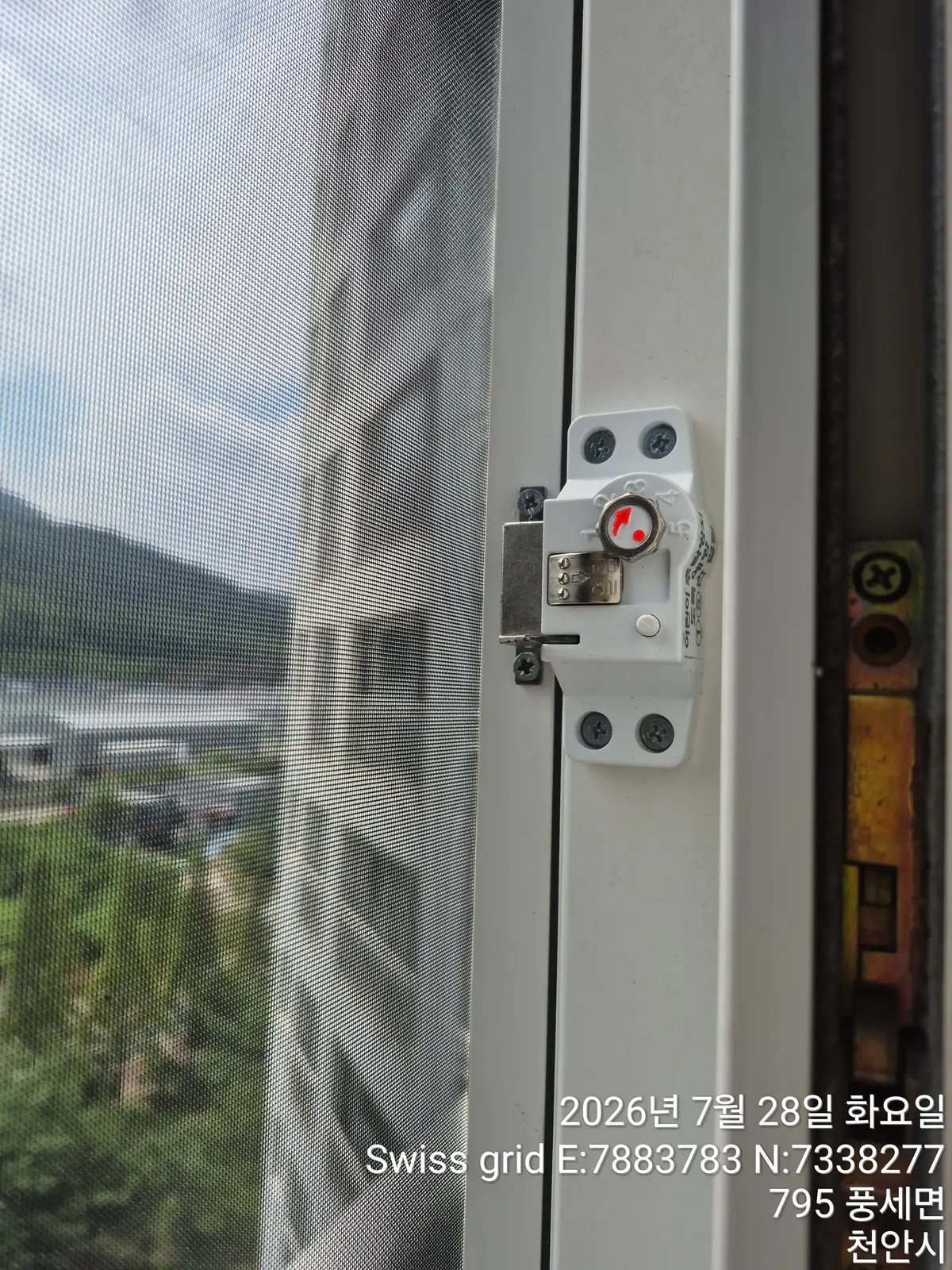 이미지 15