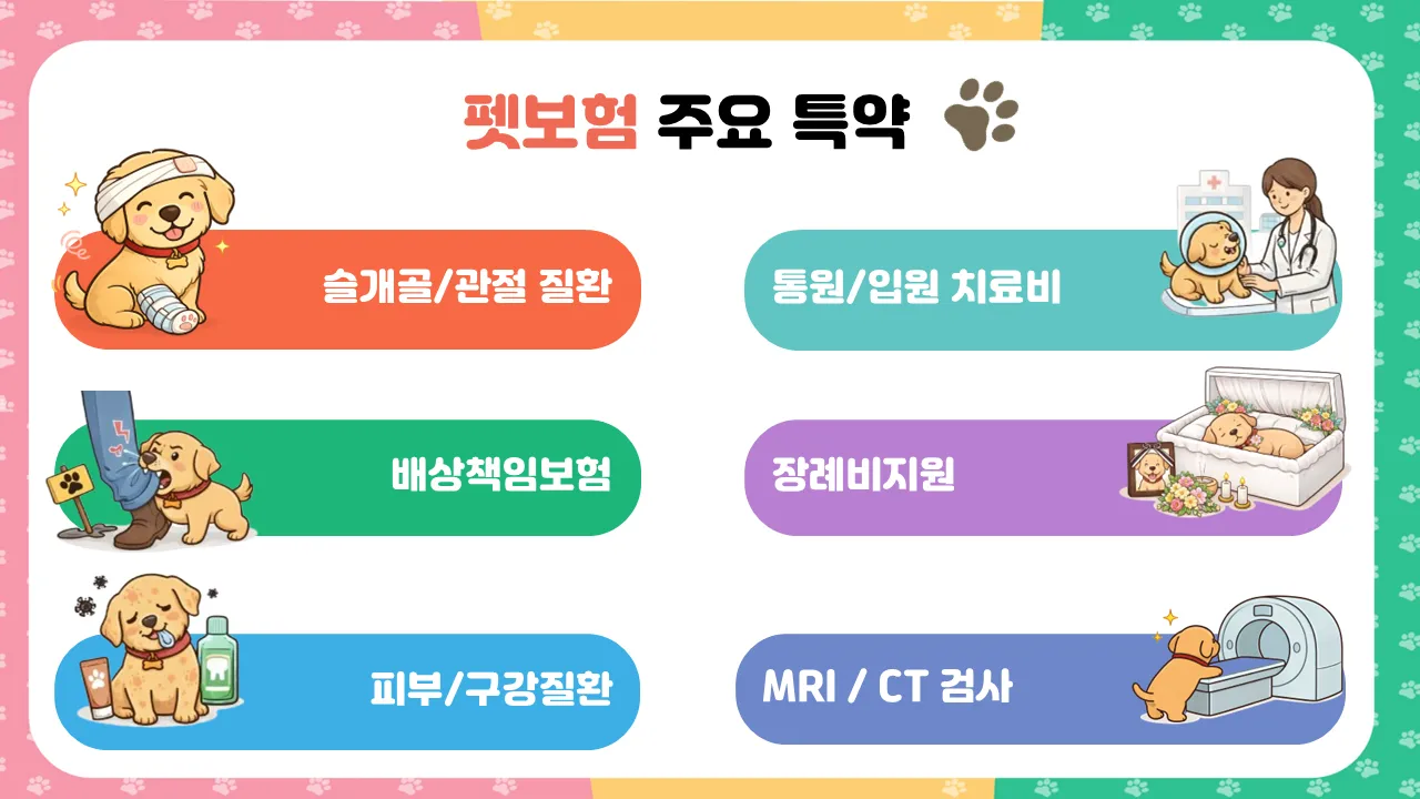 이미지 6