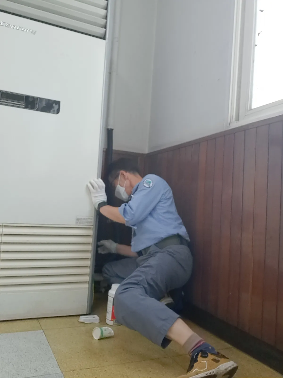 이미지 5