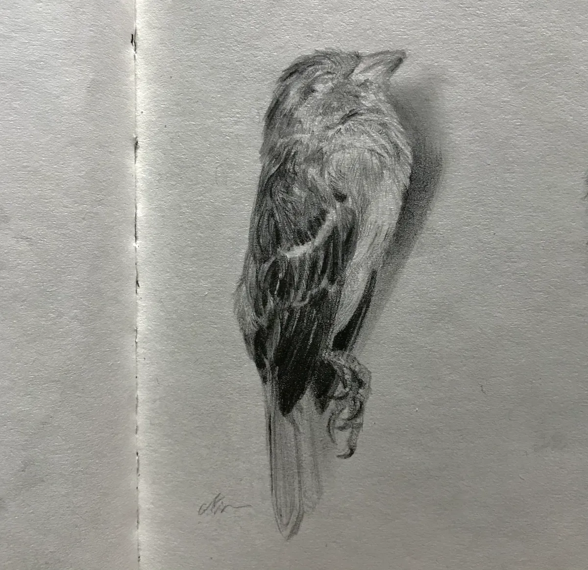 이미지 5
