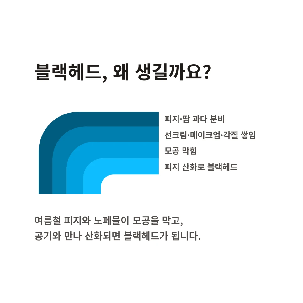이미지 6