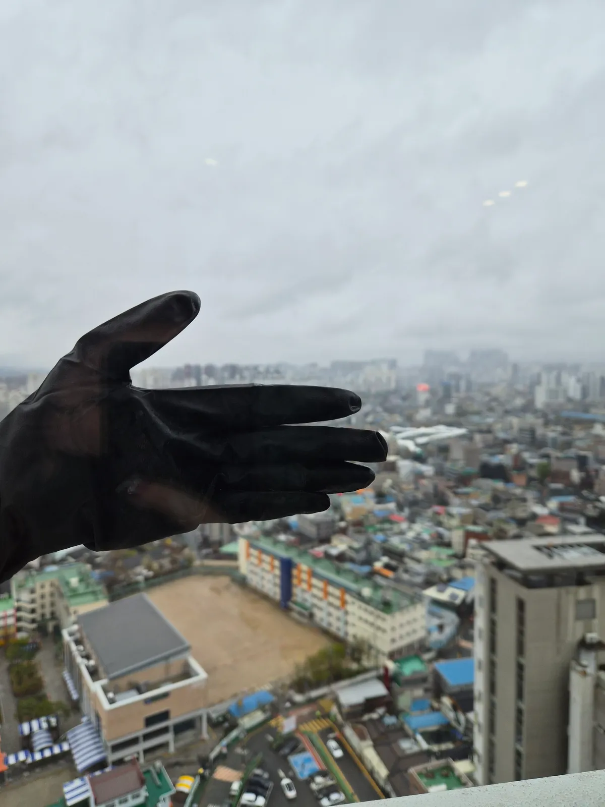 이미지 11