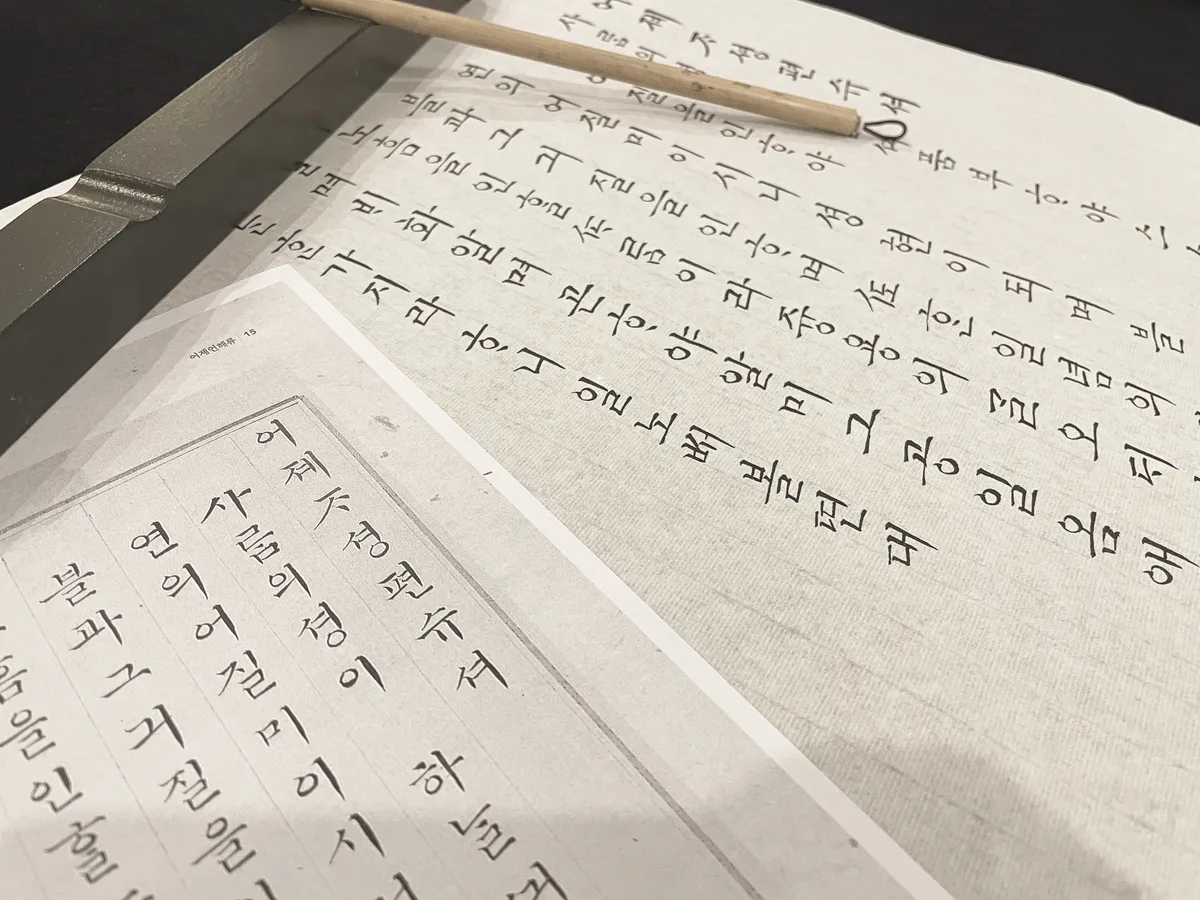 이미지 3