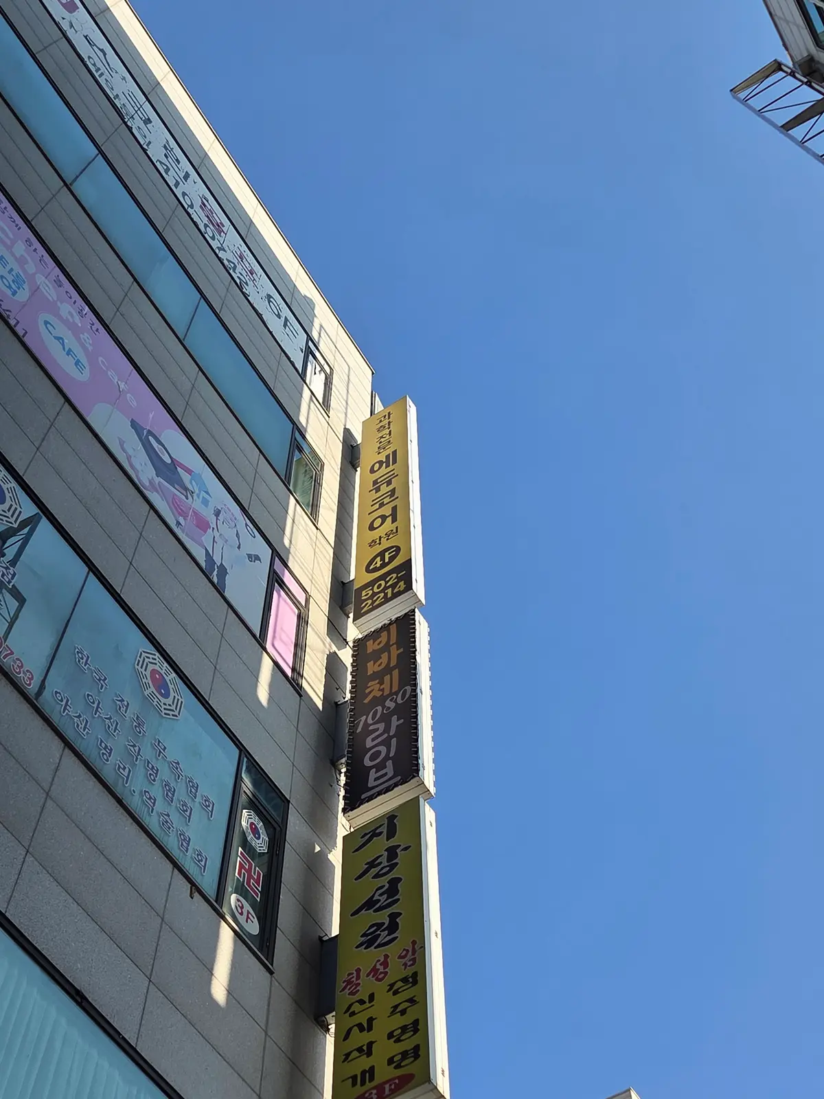 이미지 4