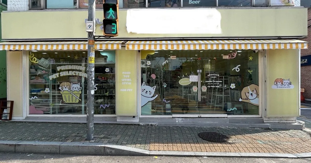 은평구 자외선차단 단열필름시공 / 에이스 단열필름 - 숨고, 숨은고수 은평구 자외선차단 단열필름시공