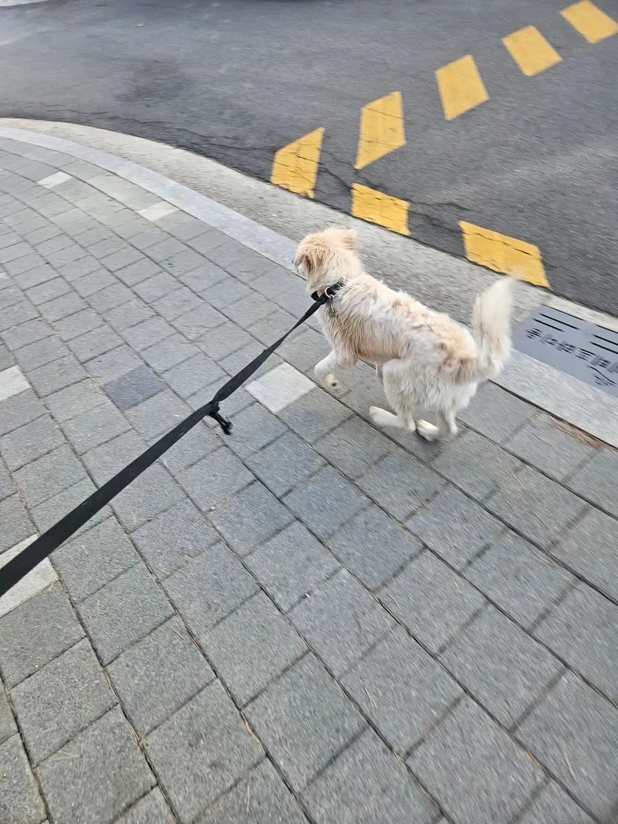 이미지 8