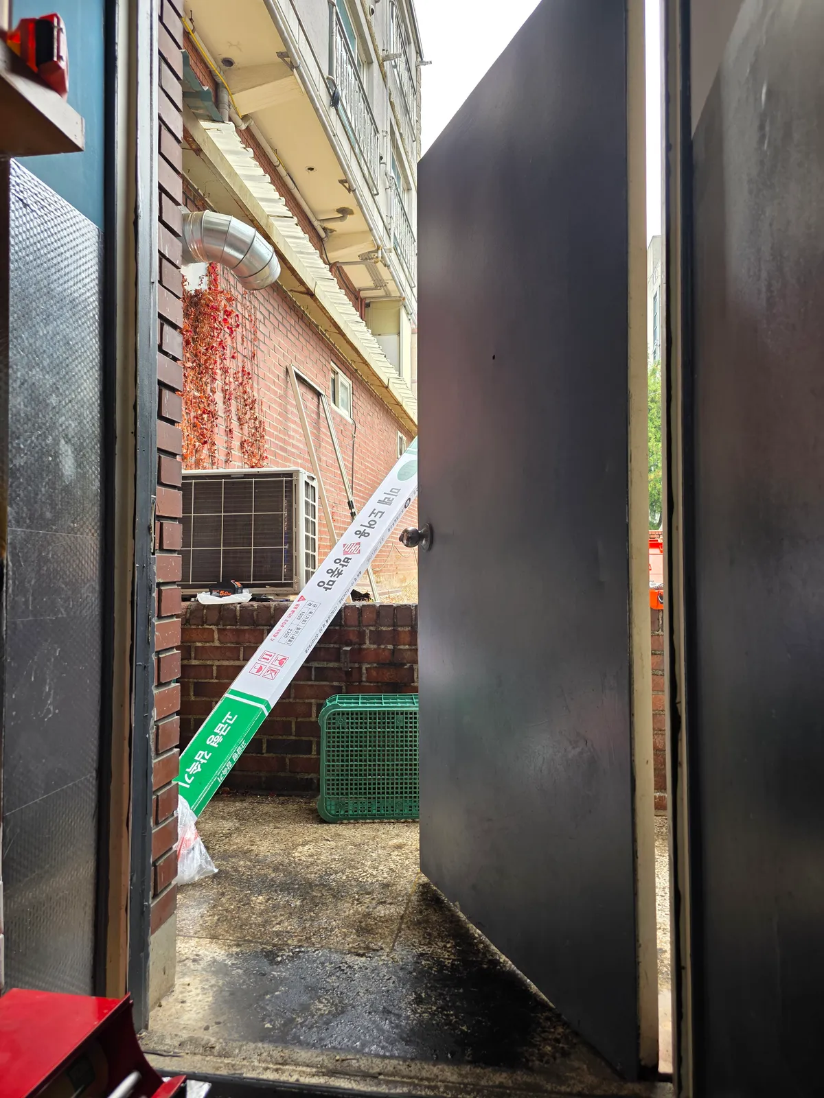 이미지 5