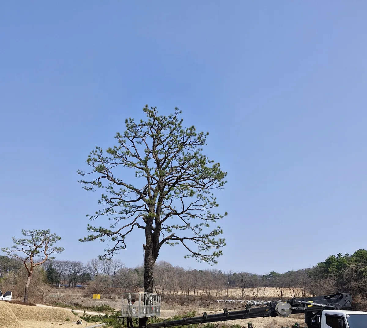 이미지 5