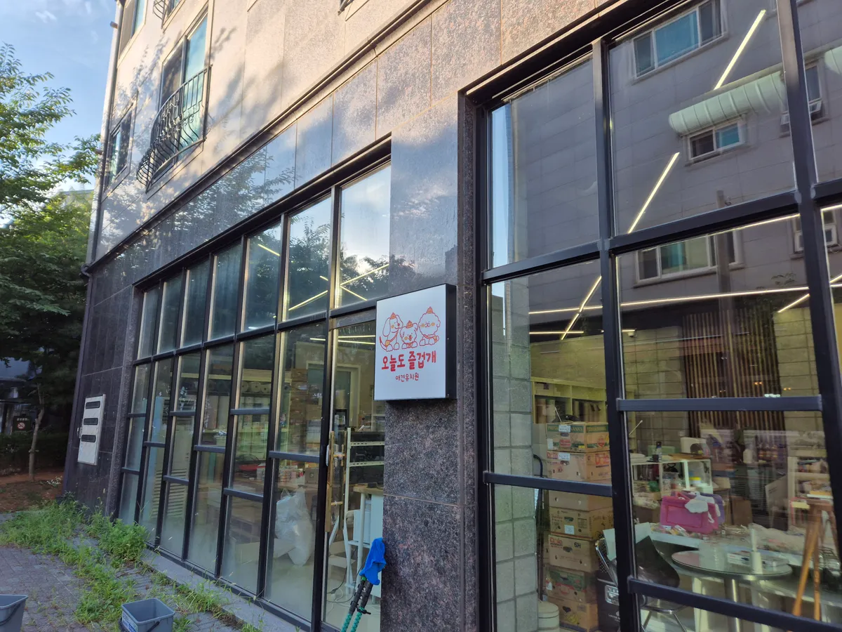 이미지 7