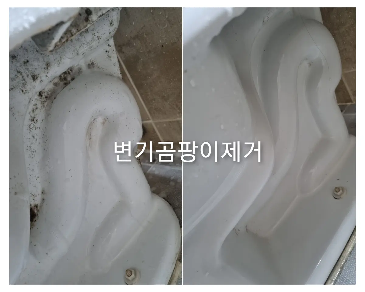 이미지 5