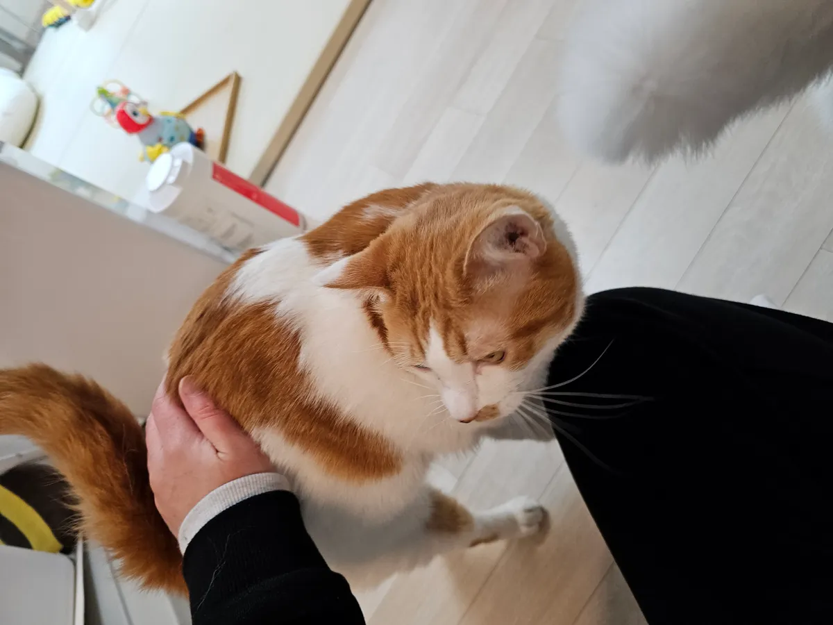 이미지 5