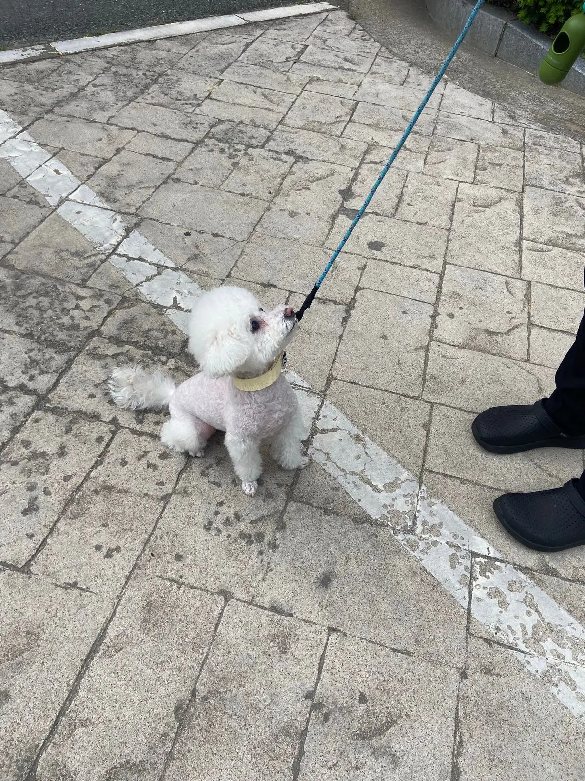 이미지 5