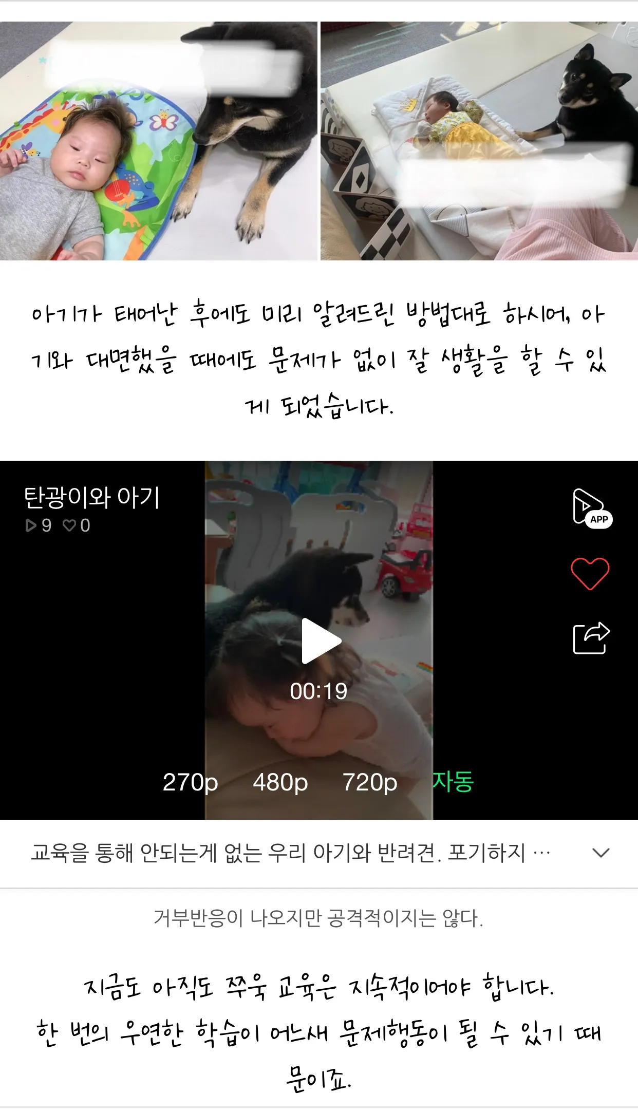 이미지 9
