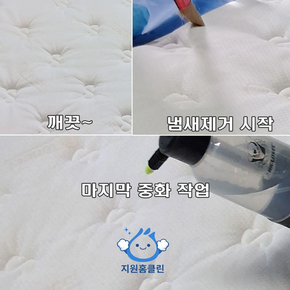 이미지 8